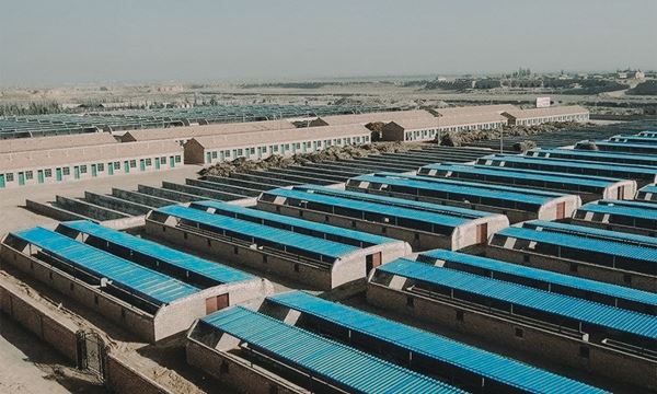 Pusat Dagangan Diesel-Pertanian